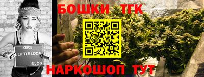 тгк Новокубанск