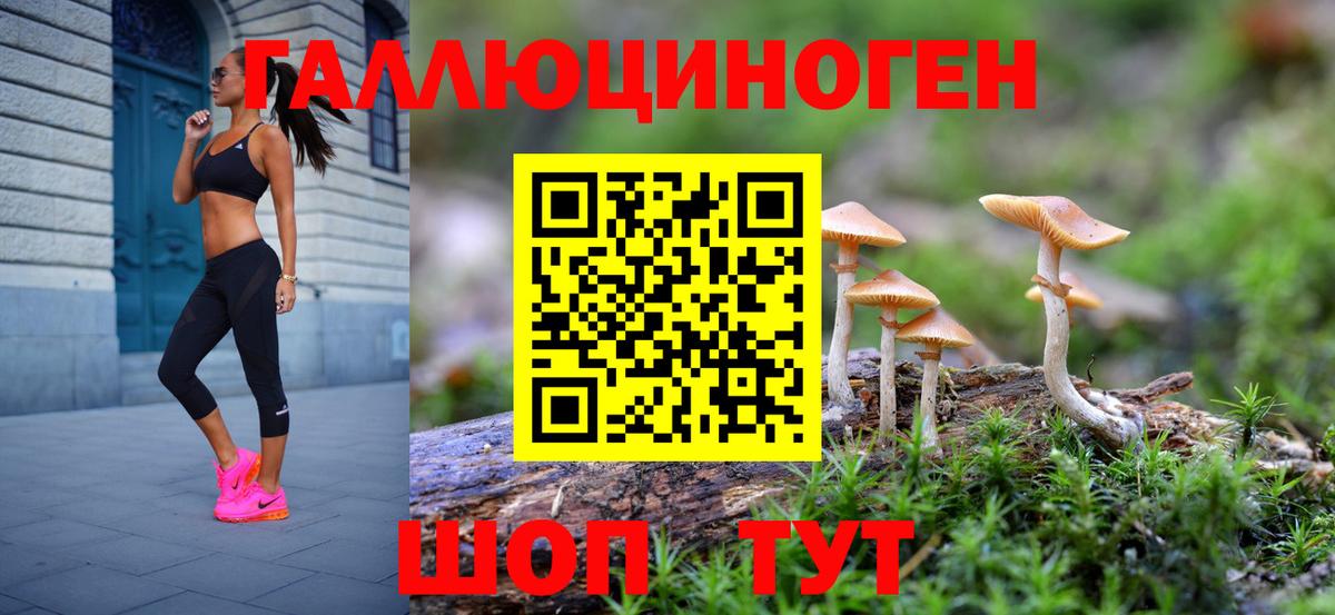 Псилоцибиновые грибы мицелий  Галлюциногенные грибы прущие грибы  Туапсе  купить наркотик  Вход с VPN 